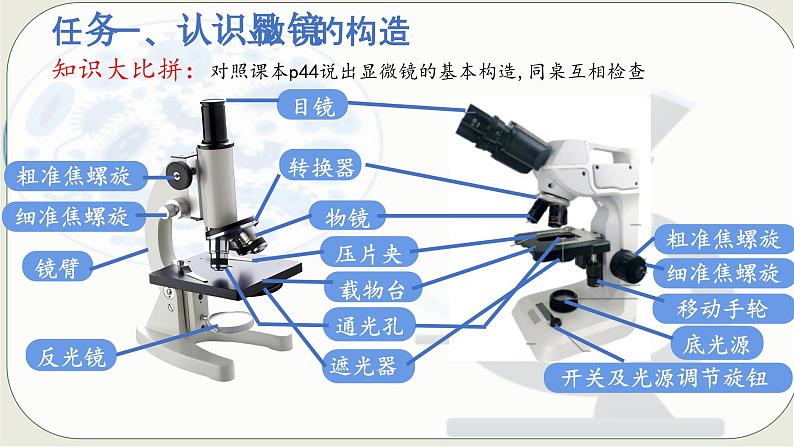 人教版生物七年级上册 1.2.1 学习使用显微镜 同步课件 (2)04