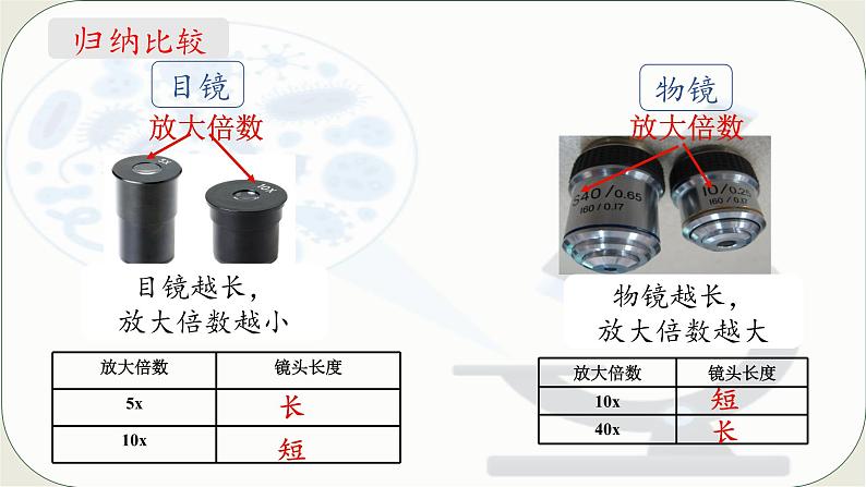 人教版生物七年级上册 1.2.1 学习使用显微镜 同步课件 (2)05