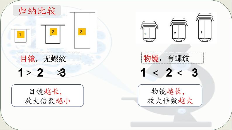 人教版生物七年级上册 1.2.1 学习使用显微镜 同步课件 (2)06