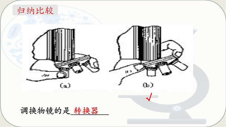 人教版生物七年级上册 1.2.1 学习使用显微镜 同步课件 (2)07