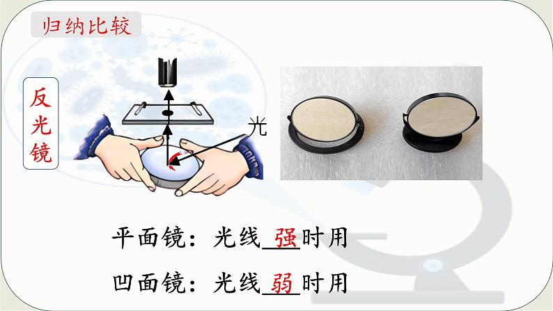 人教版生物七年级上册 1.2.1 学习使用显微镜 同步课件 (2)08