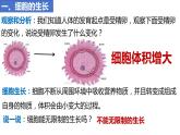 人教版生物七年级上册 1.3.1 细胞通过分裂产生新细胞 同步课件
