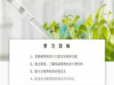 人教版生物七年级上册 1.3.3  植物体的结构层次 同步课件