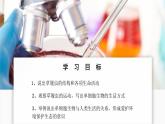 人教版生物七年级上册 1.3.4  单细胞生物 同步课件