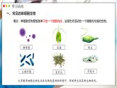人教版生物七年级上册 1.3.4  单细胞生物 同步课件