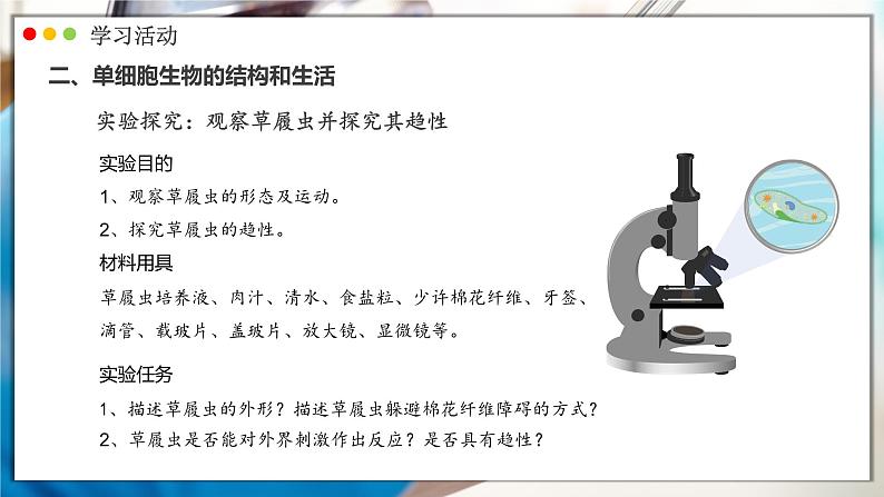 人教版生物七年级上册 1.3.4  单细胞生物 同步课件第5页