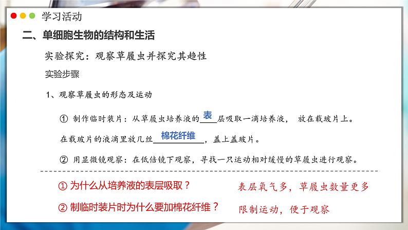 人教版生物七年级上册 1.3.4  单细胞生物 同步课件第6页