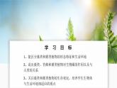 人教版生物七年级上册 2.1.1  藻类、苔藓和蕨类植物 同步课件