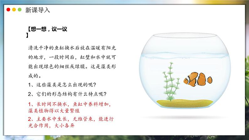 人教版生物七年级上册 2.1.1  藻类、苔藓和蕨类植物 同步课件03