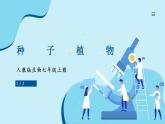 人教版生物七年级上册 2.1.2  种子植物 同步课件