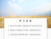 人教版生物七年级上册 2.1.2  种子植物 同步课件