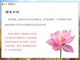 人教版生物七年级上册 2.1.2  种子植物 同步课件