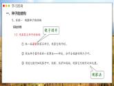 人教版生物七年级上册 2.1.2  种子植物 同步课件