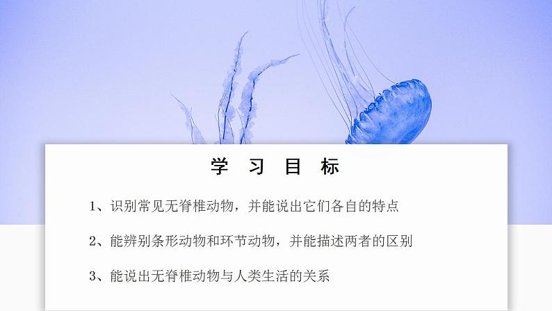 人教版生物七年级上册 2.2.1  无脊椎动物 同步课件02