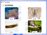 人教版生物七年级上册 2.2.1  无脊椎动物 同步课件