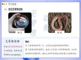 人教版生物七年级上册 2.2.1  无脊椎动物 同步课件