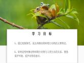 人教版生物七年级上册 2.2.2 脊椎动物—两栖动物和爬行动物 同步课件