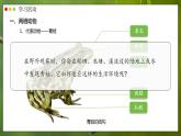人教版生物七年级上册 2.2.2 脊椎动物—两栖动物和爬行动物 同步课件