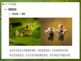 人教版生物七年级上册 2.2.2 脊椎动物—两栖动物和爬行动物 同步课件