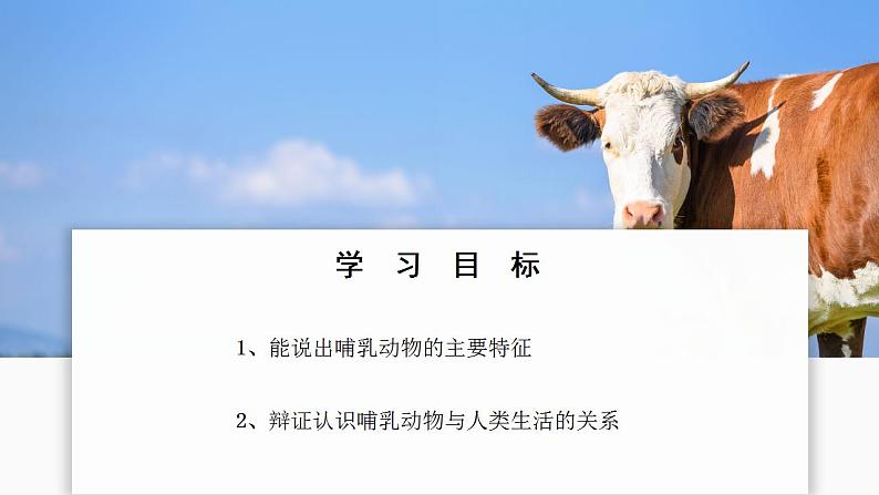 人教版生物七年级上册 2.2.2 脊椎动物—哺乳动物 同步课件02