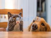 人教版生物七年级上册 2.2.2 脊椎动物—哺乳动物 同步课件