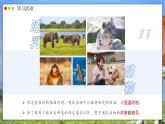 人教版生物七年级上册 2.2.2 脊椎动物—哺乳动物 同步课件