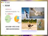 人教版生物七年级上册 2.2.2 脊椎动物—鸟 同步课件