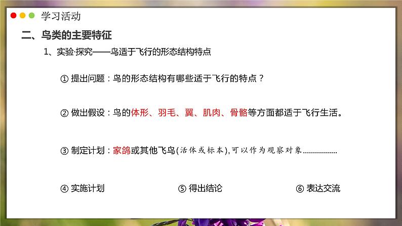 人教版生物七年级上册 2.2.2 脊椎动物—鸟 同步课件08