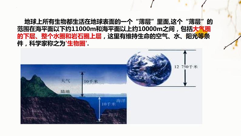 北师大版生物七年级上册 1.1.1 形形色色的生物 教学课件03