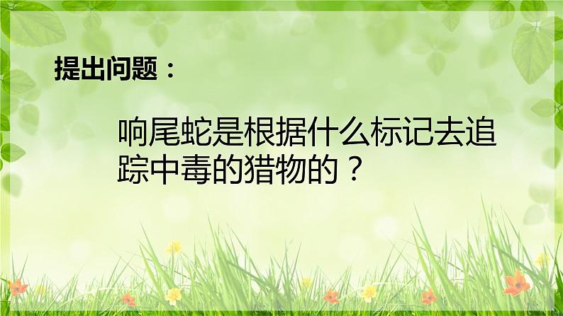 北师大版生物七年级上册 1.1.3 生物学研究的基本方法 教学课件07