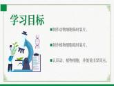 北师大版生物七年级上册 2.2.1 细胞的基本结构和功能 教学课件
