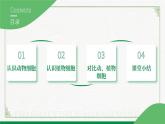 北师大版生物七年级上册 2.2.1 细胞的基本结构和功能 教学课件