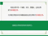 北师大版生物七年级上册 2.2.1 细胞的基本结构和功能 教学课件