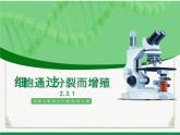 北师大版生物七年级上册 2.3.1细胞的结构与功能 教学课件