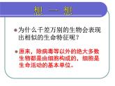 北师大版生物七年级上册 2.3.1细胞的结构与功能 教学课件