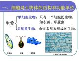北师大版生物七年级上册 2.3.1细胞的结构与功能 教学课件