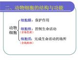 北师大版生物七年级上册 2.3.1细胞的结构与功能 教学课件
