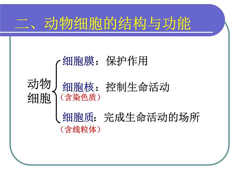 北师大版生物七年级上册 2.3.1细胞的结构与功能 教学课件第5页