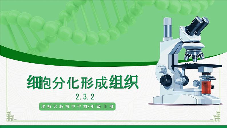 北师大版生物七年级上册 2.3.2 细胞分化形成组织 教学课件01