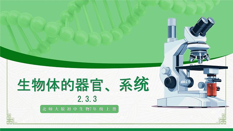 北师大版生物七年级上册 2.3.3 生物体的器官、系统 教学课件01