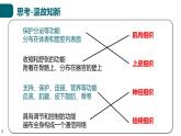 北师大版生物七年级上册 2.3.3 生物体的器官、系统 教学课件