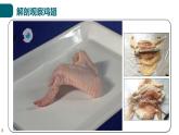 北师大版生物七年级上册 2.3.3 生物体的器官、系统 教学课件