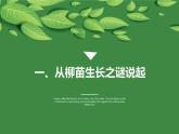 北师大版生物七年级上册 3.4.1 光合作用 教学课件