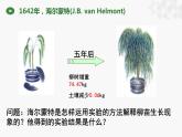 北师大版生物七年级上册 3.4.1 光合作用 教学课件
