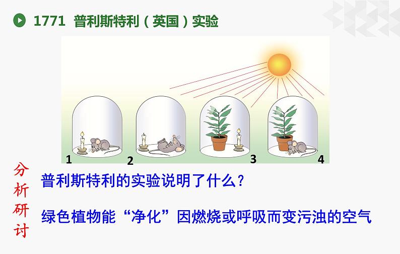 北师大版生物七年级上册 3.4.1 光合作用 教学课件06