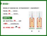 北师大版生物七年级上册 3.4.2 呼吸作用 教学课件