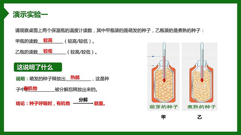 北师大版生物七年级上册 3.4.2 呼吸作用 教学课件03