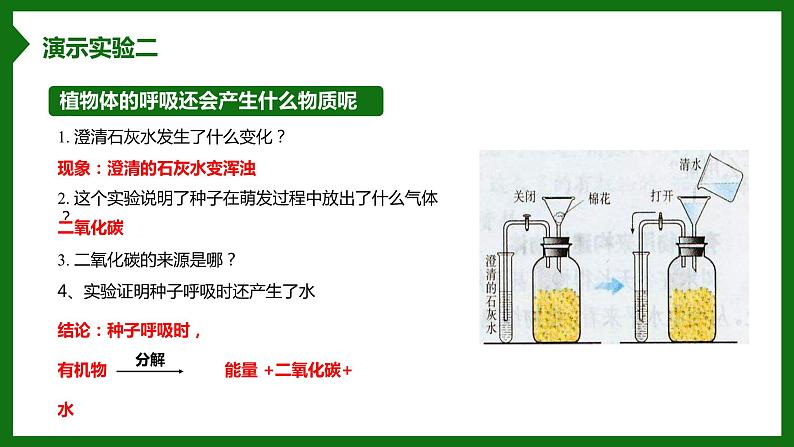 北师大版生物七年级上册 3.4.2 呼吸作用 教学课件04