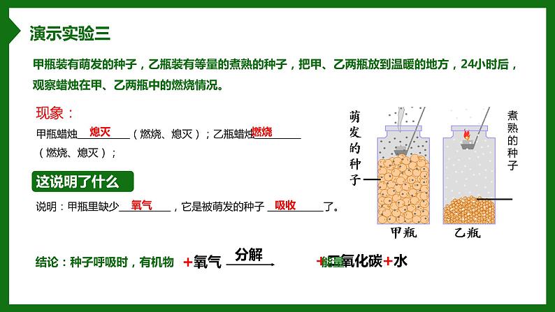 北师大版生物七年级上册 3.4.2 呼吸作用 教学课件05