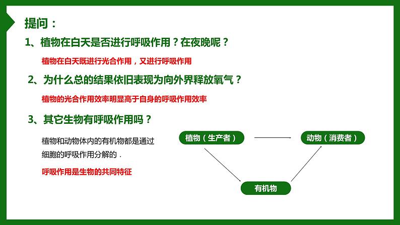 北师大版生物七年级上册 3.4.2 呼吸作用 教学课件07